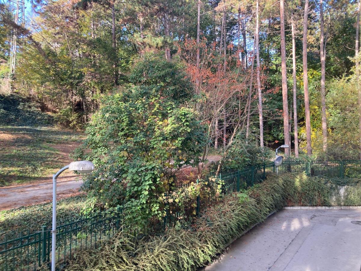 Botanica Prime Lägenhet Varna Exteriör bild